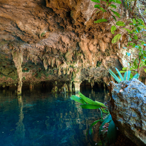 Tulum + Cenote Dos Ojos + Gran Cenote