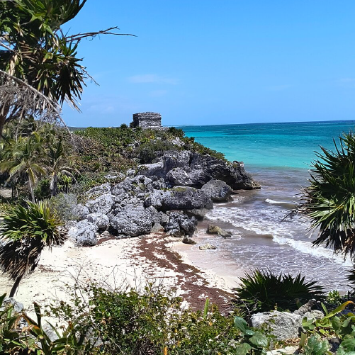 Tulum + Cenote Dos Ojos + Gran Cenote
