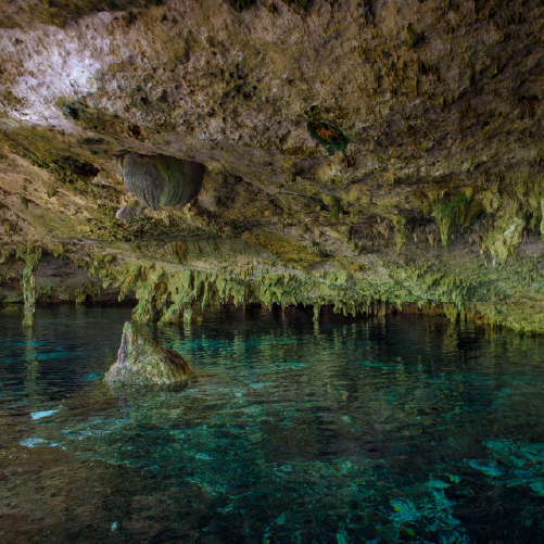 Tulum Archaeological Site + Cenote Dos Ojos + Gran Cenote + Ven A La Luz