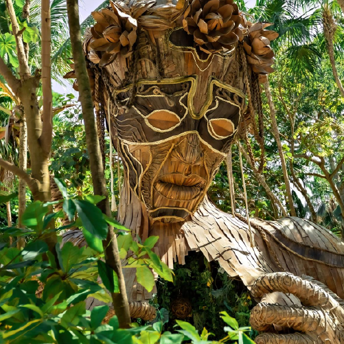 Tulum Archaeological Site + Cenote Dos Ojos + Gran Cenote + Ven A La Luz