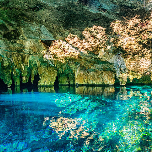 Tulum + Cenote Dos Ojos + Gran Cenote